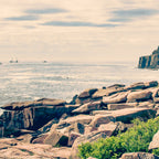 Acadia Coffee Mug Gallery Image 2