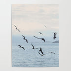 Flock of Birds at Sunset Poster Gallery Image 4