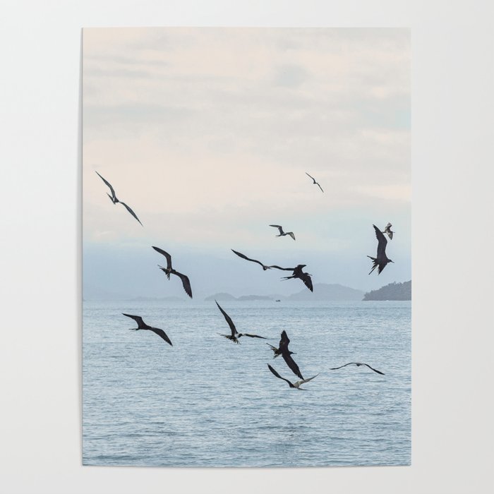 Flock of Birds at Sunset Poster Gallery Image 4