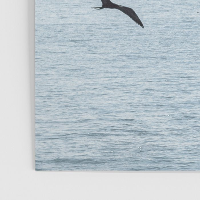 Flock of Birds at Sunset Poster Gallery Image 3