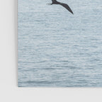 Flock of Birds at Sunset Poster Gallery Image 3