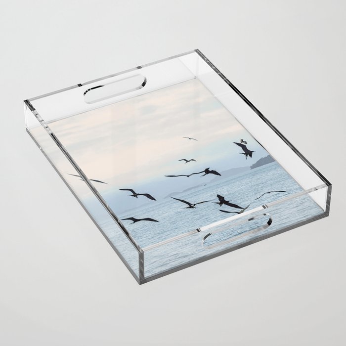 Flock of Birds at Sunset Acrylic Tray Gallery Image 1