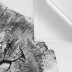Oak log Wall Tapestry Gallery Image 3