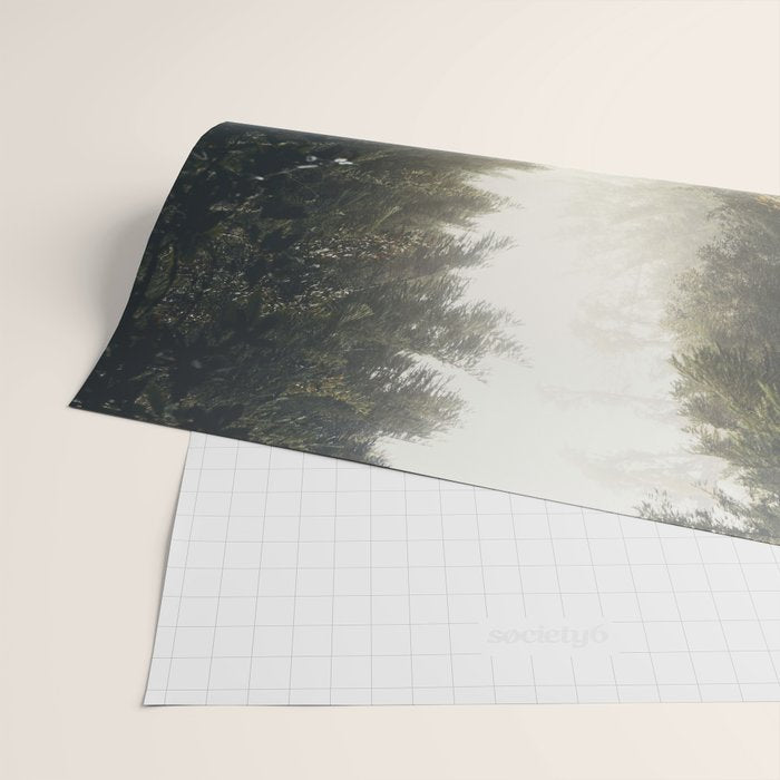 Redwood Forest Adventure 2022 - Nature Photography Wrapping Paper Gallery Image 2