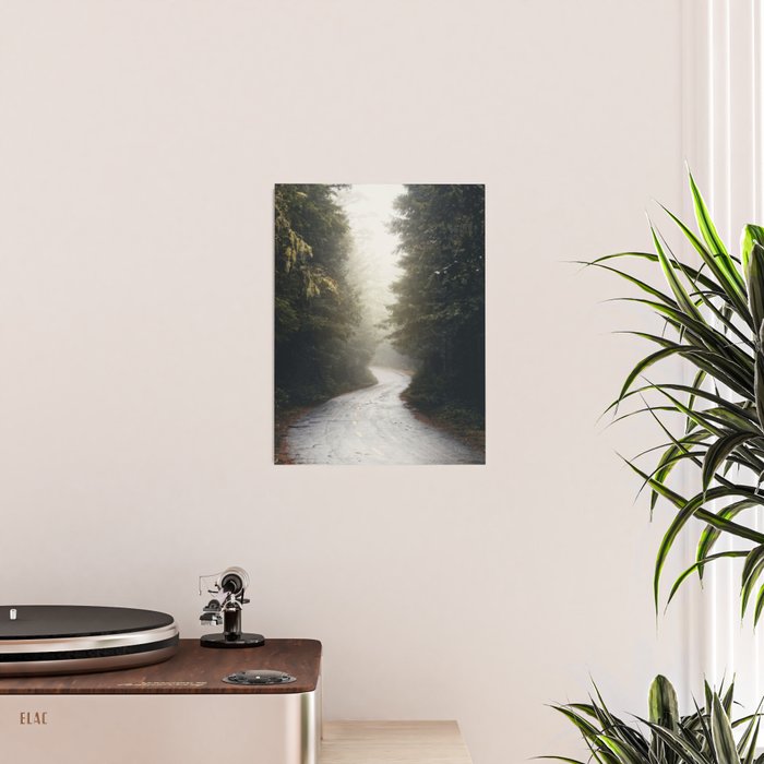 Redwood Forest Adventure 2022 - Nature Photography Poster Gallery Image 2