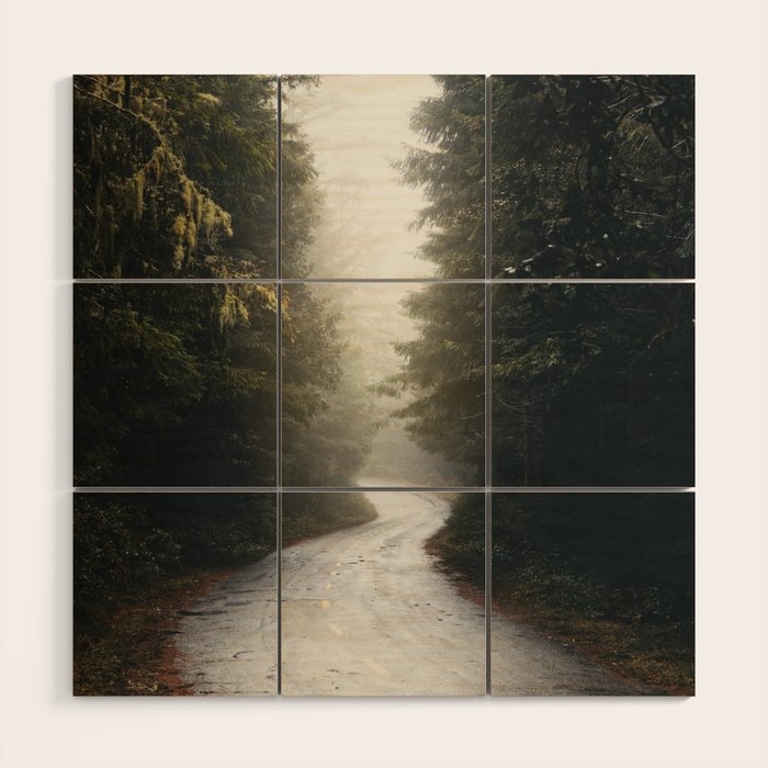 Redwood Forest Adventure 2022 - Nature Photography Wood Wall Art Gallery Image 1