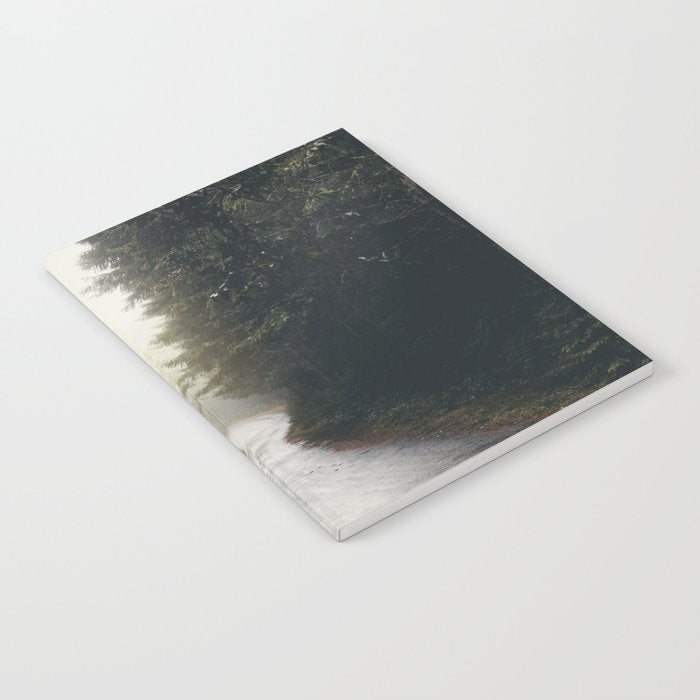 Redwood Forest Adventure 2022 - Nature Photography Notebook Gallery Image 2