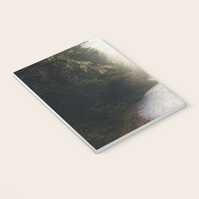 Redwood Forest Adventure 2022 - Nature Photography Notebook Gallery Image 3