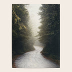 Redwood Forest Adventure 2022 - Nature Photography Poster Gallery Image 4