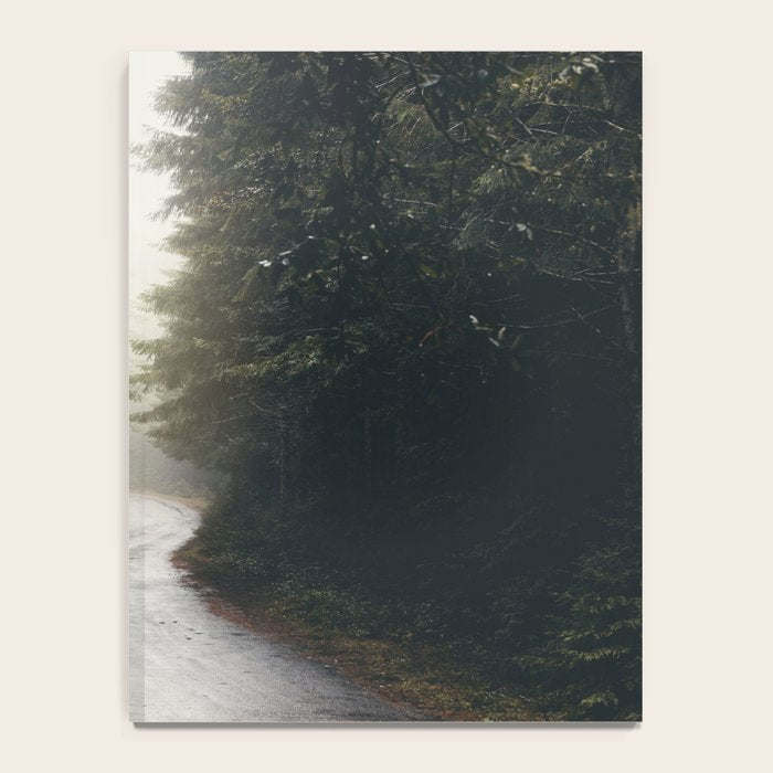 Redwood Forest Adventure 2022 - Nature Photography Notebook Gallery Image 4