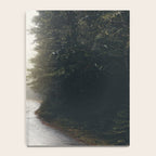 Redwood Forest Adventure 2022 - Nature Photography Notebook Gallery Image 4