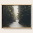 Redwood Forest Adventure 2022 - Nature Photography Serving Tray Gallery Image 1
