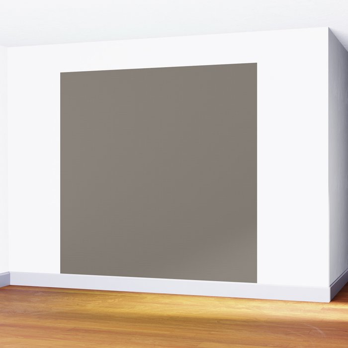 Neutral Taupe Grey II Solid Color Wall Mural Gallery Image 2