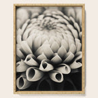 Moody Dahlia - Modern Dahlia Botanical Photo - flower print Serving Tray Gallery Image 1