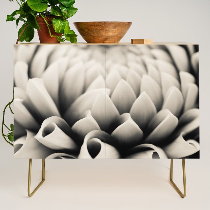 Moody Dahlia - Modern Dahlia Botanical Photo - flower print Credenza Gallery Image 1