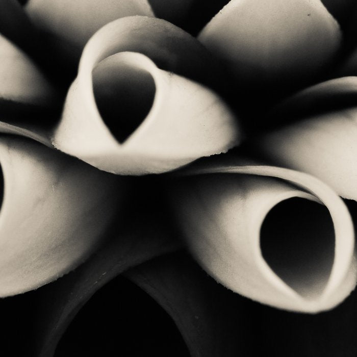 Moody Dahlia - Modern Dahlia Botanical Photo - flower print Coffee Mug Gallery Image 2