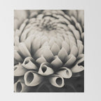 Moody Dahlia - Modern Dahlia Botanical Photo - flower print Throw Blanket Gallery Image 2