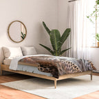 Summer Home, Leopard Tiger Cheetah Indoors Moroccan Rug, Photography Eclectic Wildlife Animals, Home Pets Wild Cats Comforter Gallery Image 2