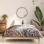 Summer Home, Leopard Tiger Cheetah Indoors Moroccan Rug, Photography Eclectic Wildlife Animals, Home Pets Wild Cats Comforter Gallery Image 3