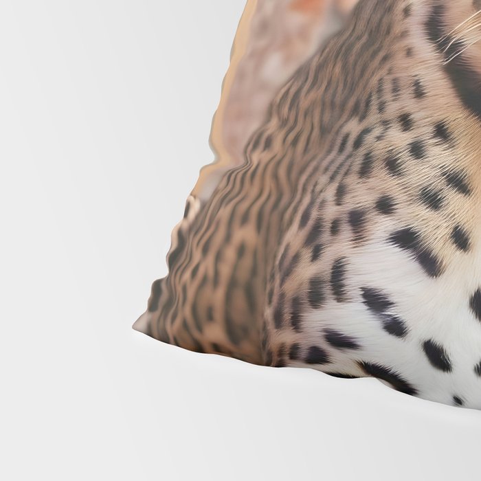 Summer Home, Leopard Tiger Cheetah Indoors Moroccan Rug, Photography Eclectic Wildlife Animals, Home Pets Wild Cats Pillow Sham Gallery Image 4