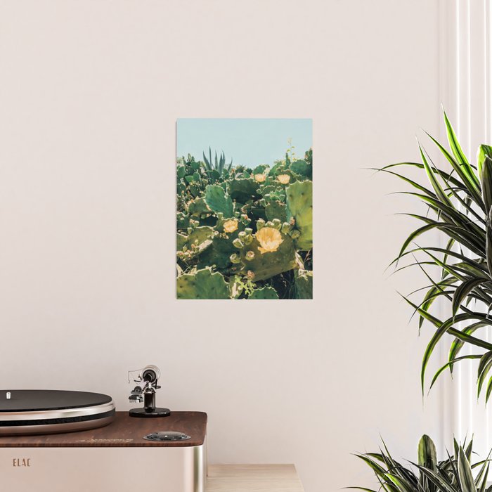A Field of Prickly Pear Cactus Poster Gallery Image 2