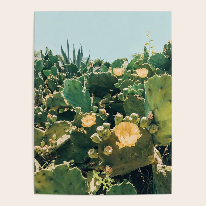 A Field of Prickly Pear Cactus Poster Gallery Image 4