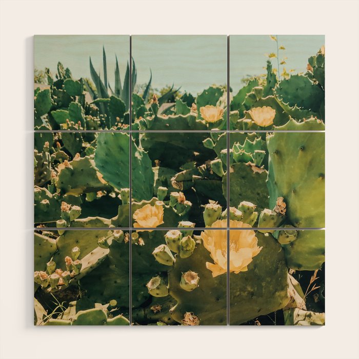 A Field of Prickly Pear Cactus Wood Wall Art Gallery Image 1
