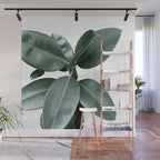 Rubber fig Plant Wall Mural Gallery Image 1