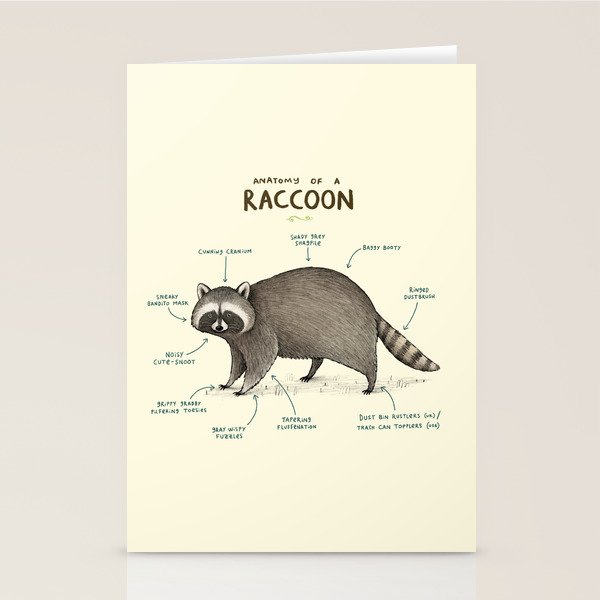 Anatomy of a Raccoon Stationery Card Gallery Image 2