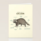 Anatomy of a Raccoon Stationery Card Gallery Image 2