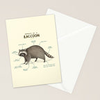 Anatomy of a Raccoon Stationery Card Gallery Image 2