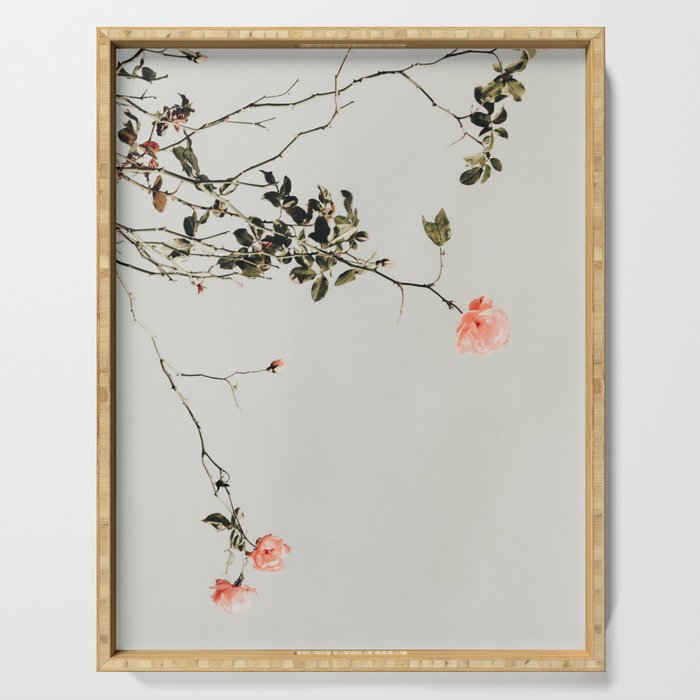 Pink Wild Roses - Minimal Flower Photography by Ingrid Beddoes Serving Tray Gallery Image 1