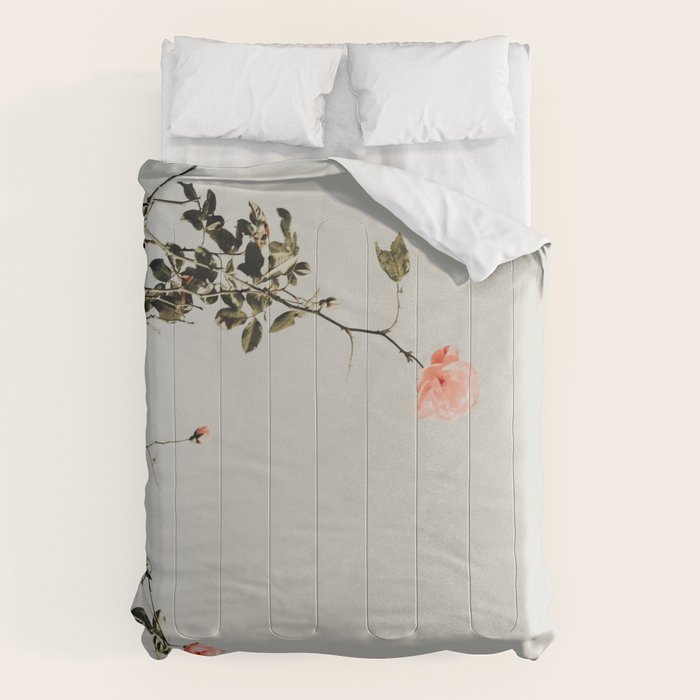 Pink Wild Roses - Minimal Flower Photography by Ingrid Beddoes Comforter Gallery Image 6