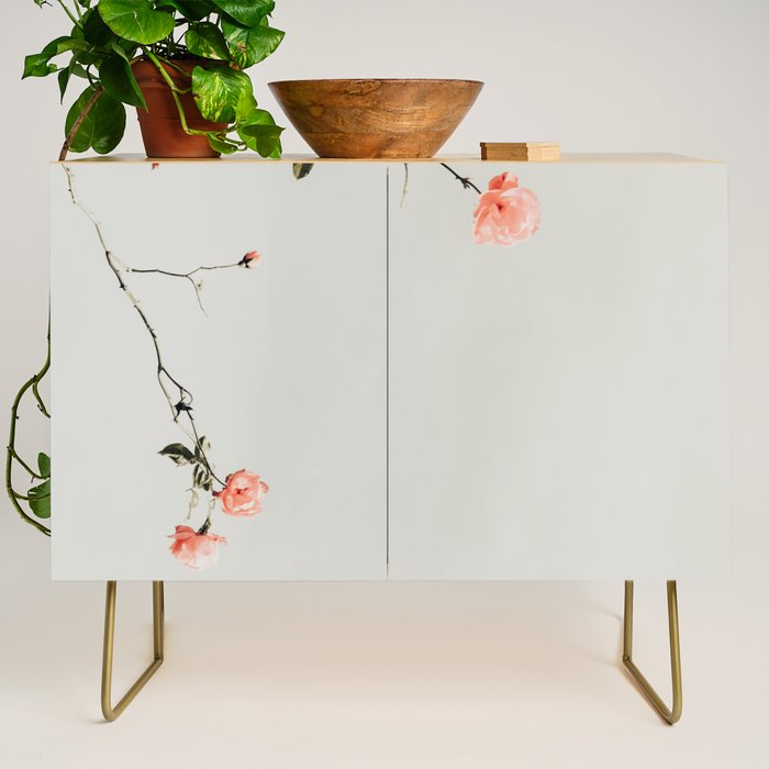 Pink Wild Roses - Minimal Flower Photography by Ingrid Beddoes Credenza Gallery Image 1