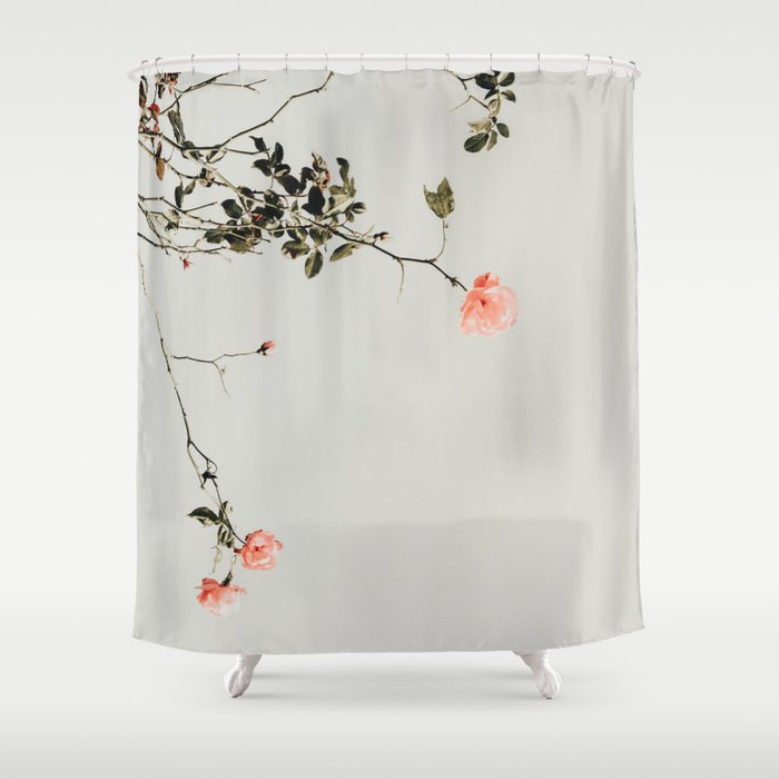 Pink Wild Roses - Minimal Flower Photography by Ingrid Beddoes Shower Curtain Gallery Image 1
