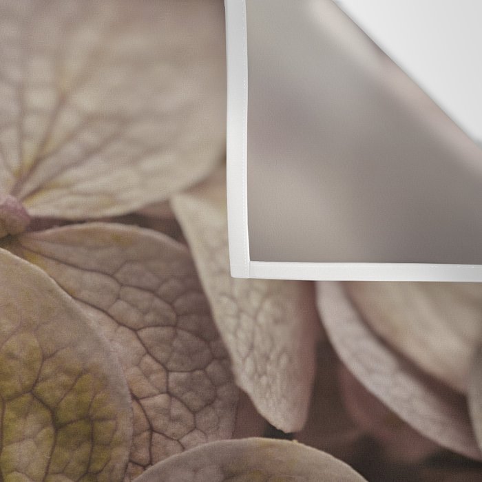 Hydrangea - botanical flower photograph pastel purple Wall Tapestry Gallery Image 3