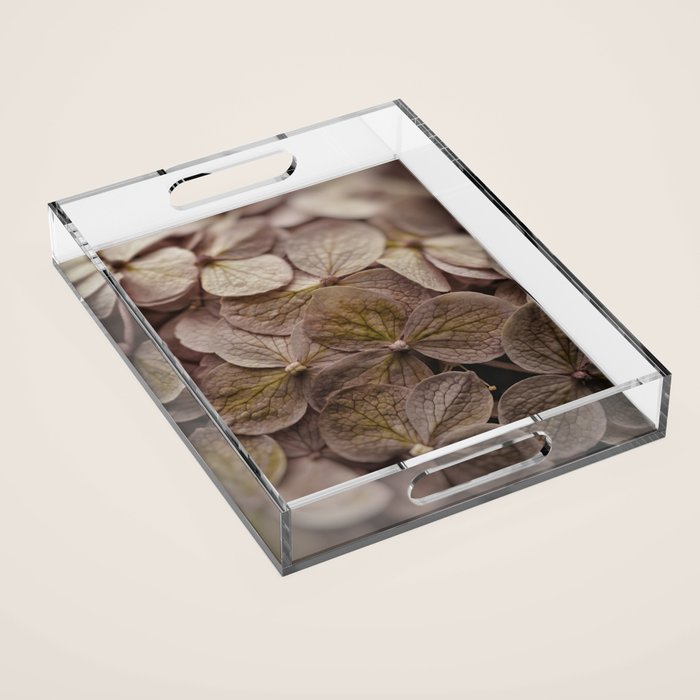 Hydrangea - botanical flower photograph pastel purple Acrylic Tray Gallery Image 1