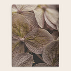 Hydrangea - botanical flower photograph pastel purple Notebook Gallery Image 4