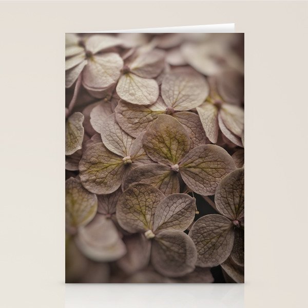 Hydrangea - botanical flower photograph pastel purple Stationery Card Gallery Image 2