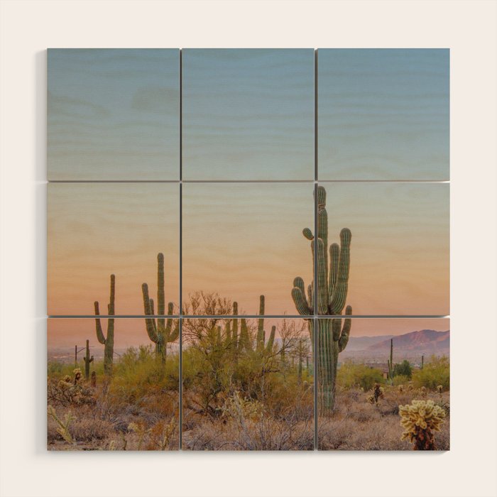 Desert / Scottsdale, Arizona Wood Wall Art Gallery Image 1