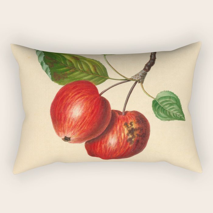 The Foxwhelp Apple (1811) Rectangular Pillow Gallery Image 1