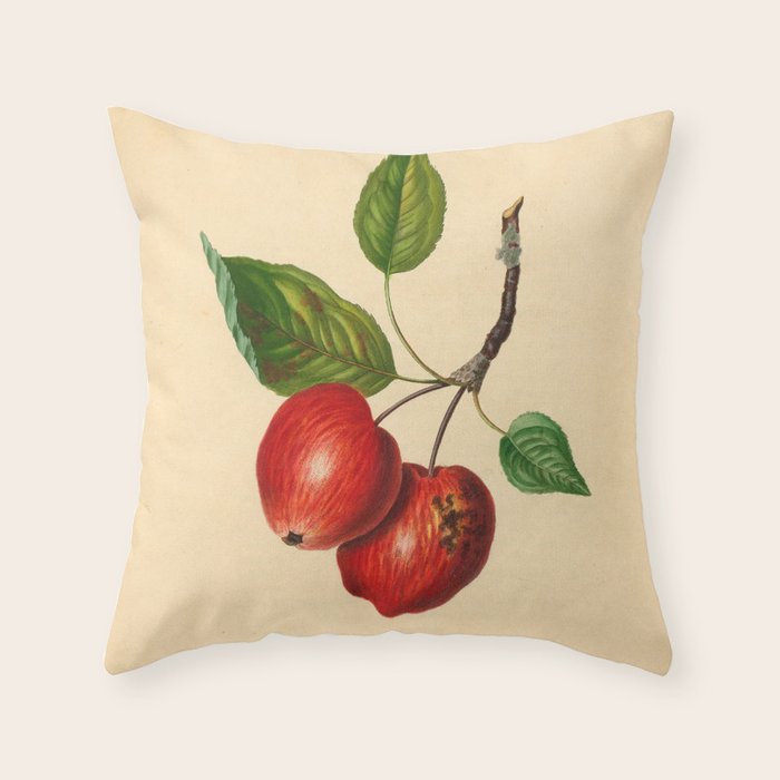 The Foxwhelp Apple (1811) Throw Pillow Gallery Image 6