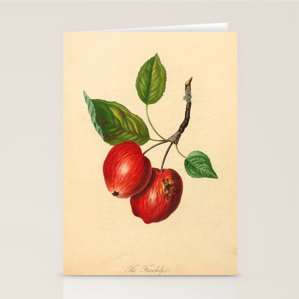 The Foxwhelp Apple (1811) Stationery Card Gallery Image 2