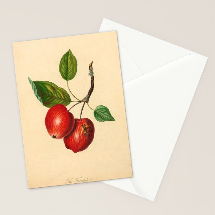 The Foxwhelp Apple (1811) Stationery Card Gallery Image 2