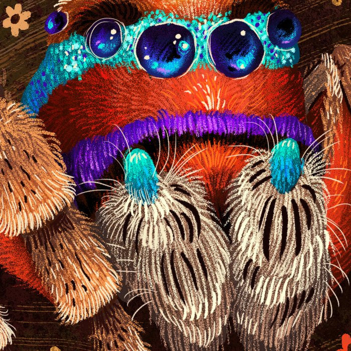 Jumping Spider Coffee Mug Gallery Image 2