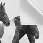 Free Rein - Black and White Photography Wall Tapestry Gallery Image 3