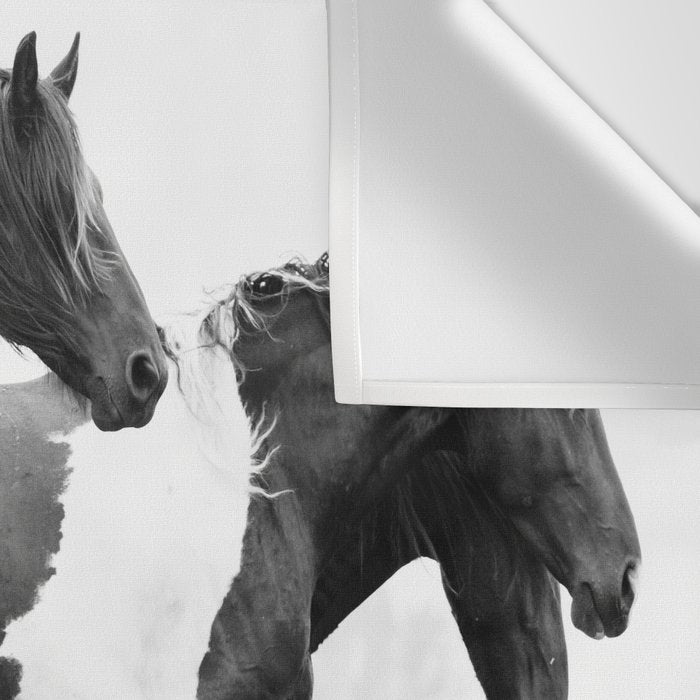 Free Rein - Black and White Photography Wall Tapestry Gallery Image 3