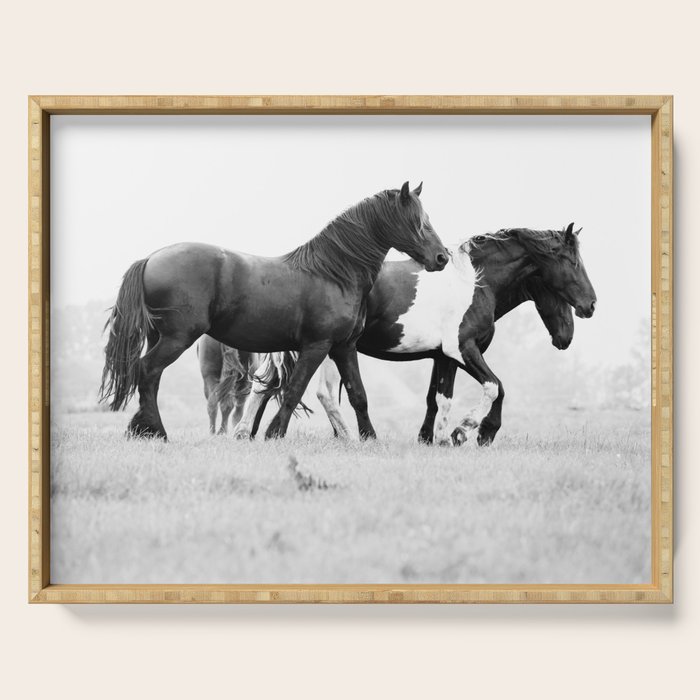Free Rein - Black and White Photography Serving Tray Gallery Image 1
