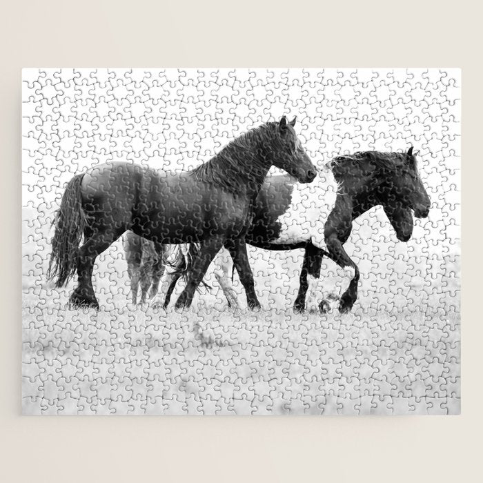 Free Rein - Black and White Photography Jigsaw Puzzle Gallery Image 1