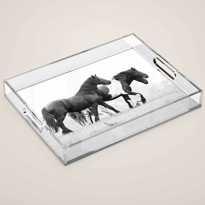 Free Rein - Black and White Photography Acrylic Tray Gallery Image 1